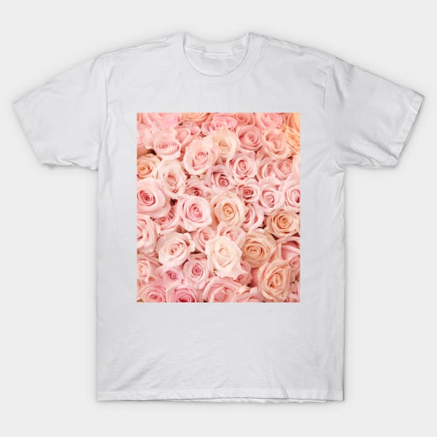 Blush Pink Roses T-Shirt by NewburyBoutique